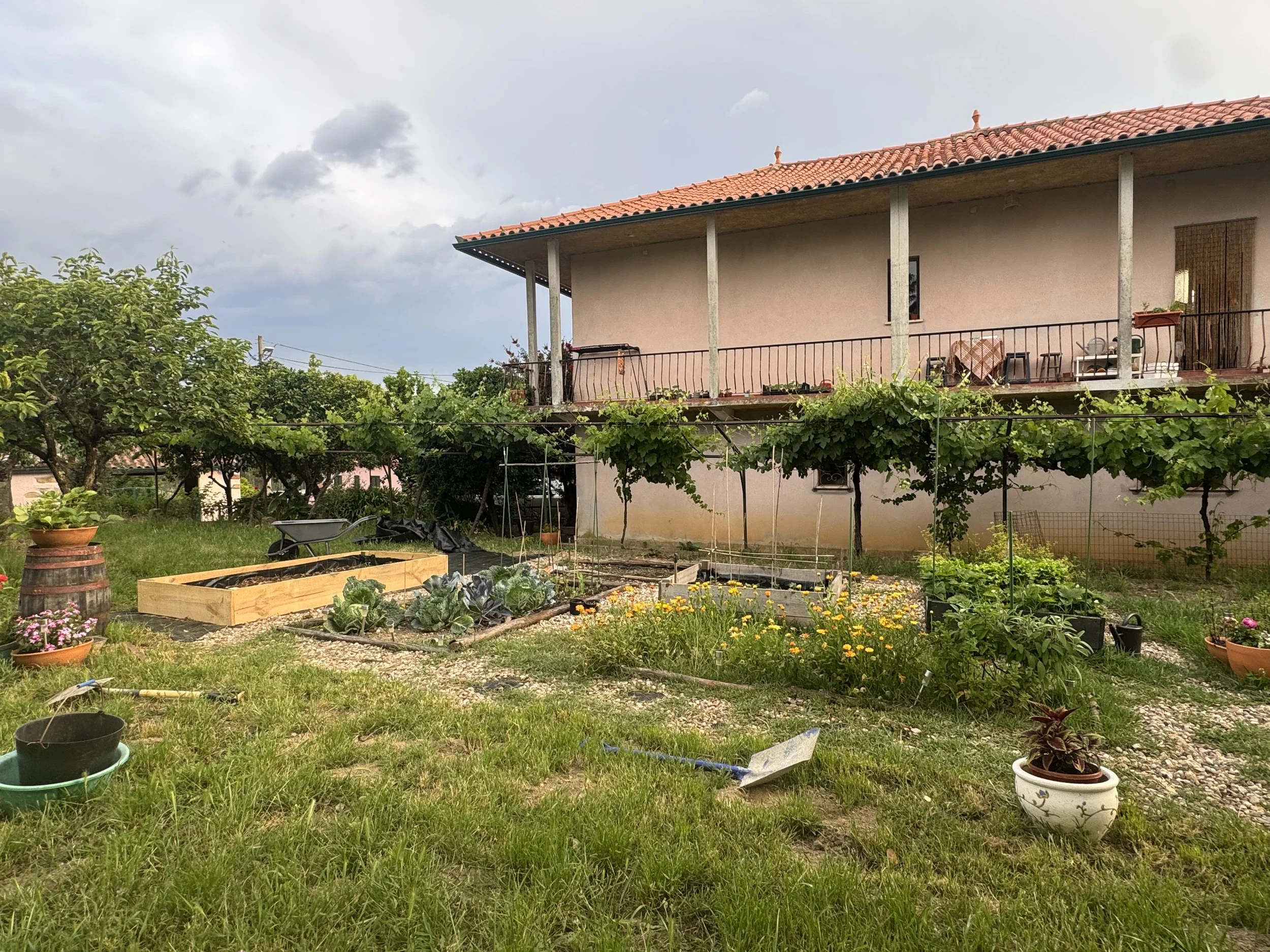 A backyard garden with various plants and flowers, a vegetable patch in a raised wooden bed, trees, and a peach-colored house with a red-tiled roof on a cloudy day.