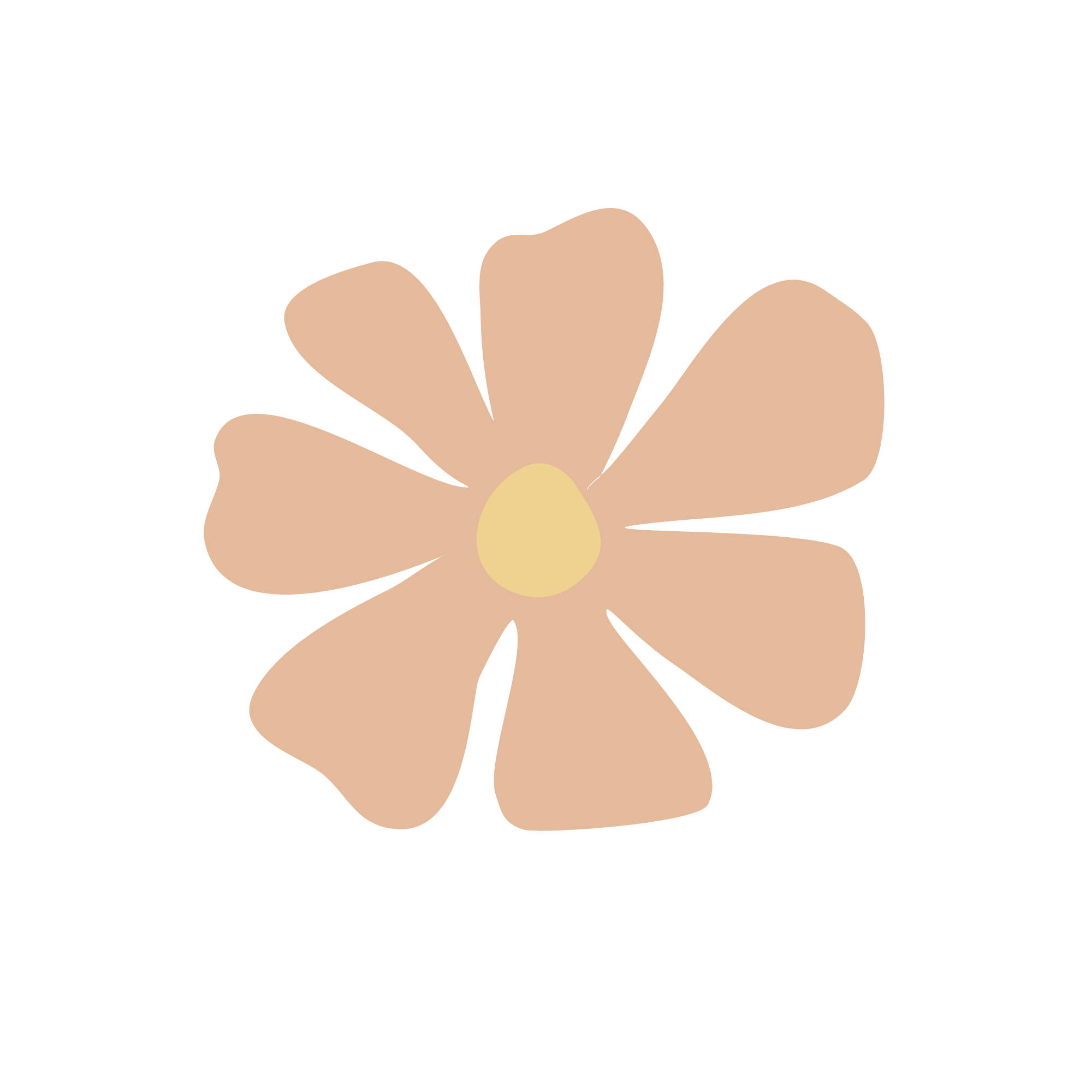 Simplified illustration of a flower with five beige petals and a yellow center on a black background.