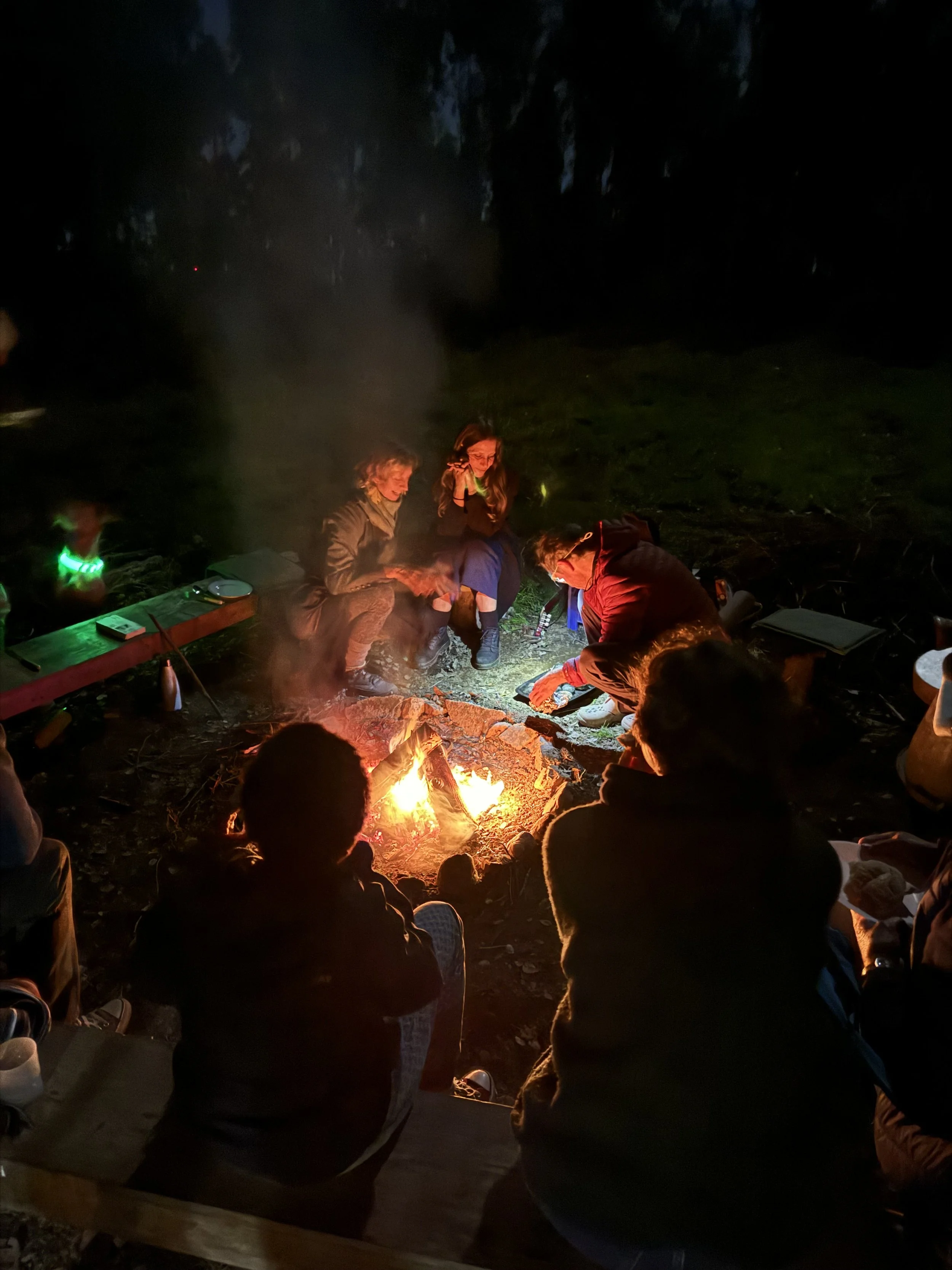 A group of people sitting around a campfire outdoors at night, some engaging in conversation, with a dark forest background.