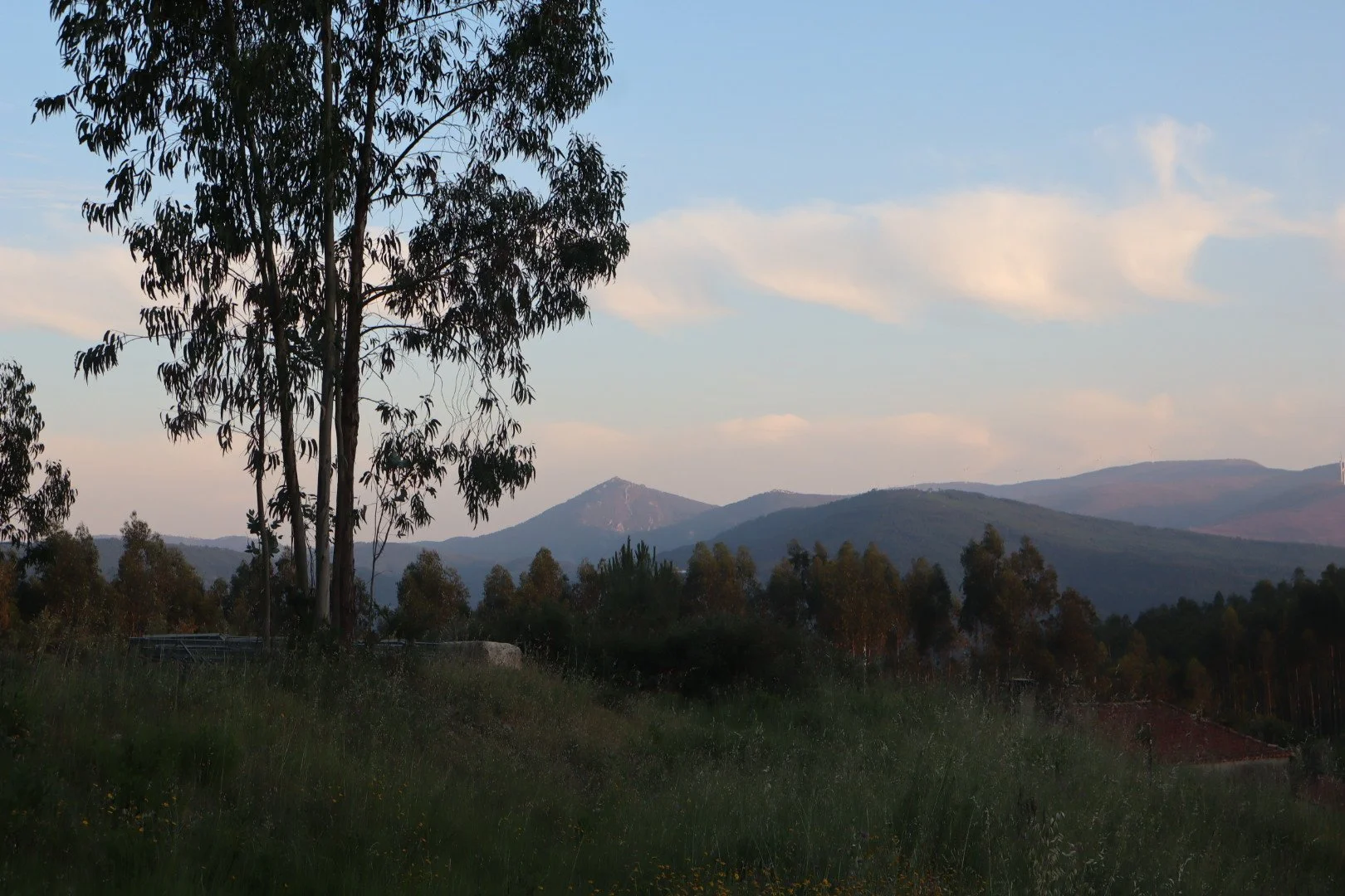 Landscape scene with tall trees, rolling hills, and distant mountains under a partly cloudy sky during daytime.