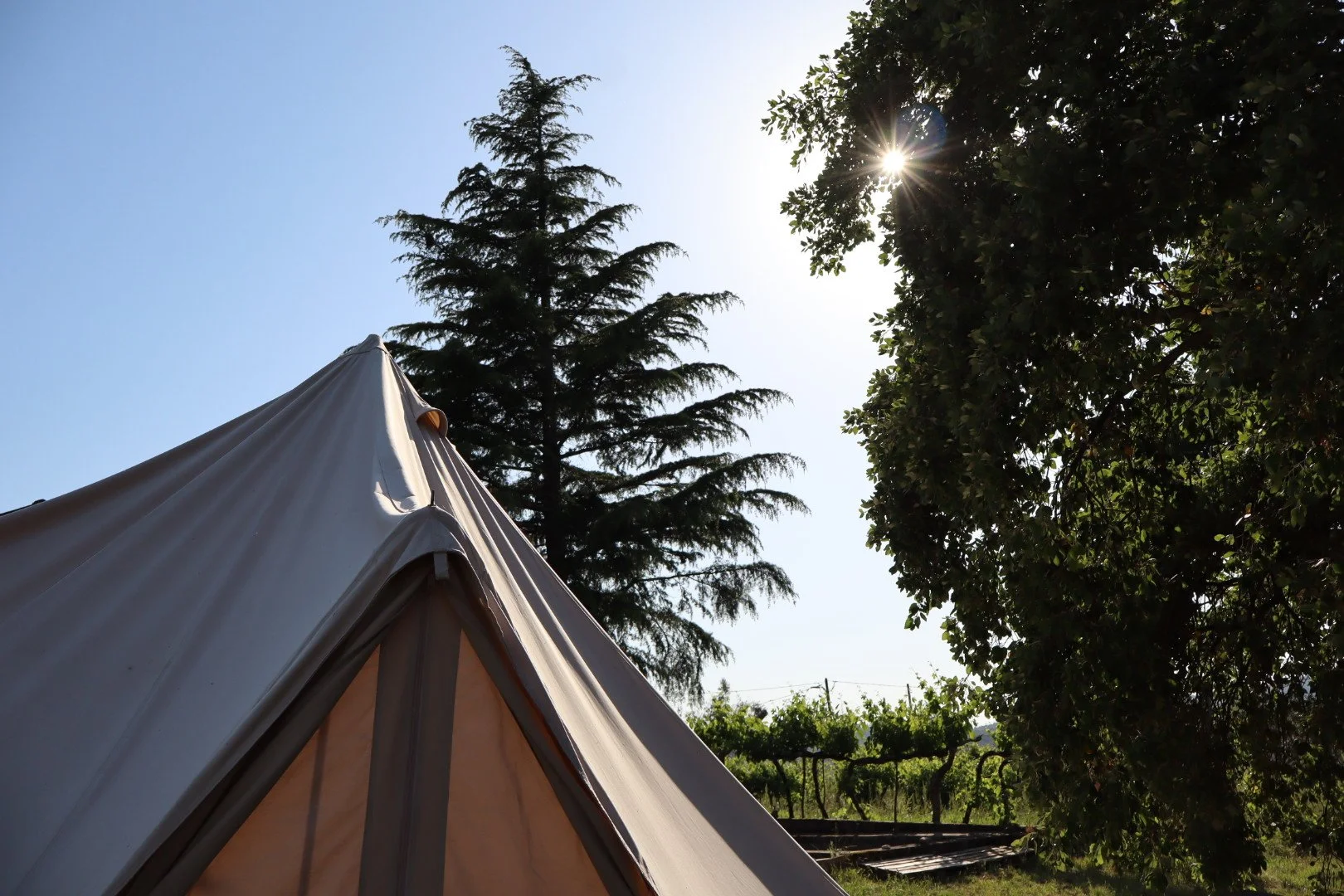 Close-up of a beige canvas tent with a pointed roof, set against a backdrop of tall trees, a clear blue sky, and bright sunlight peeking through the leaves.