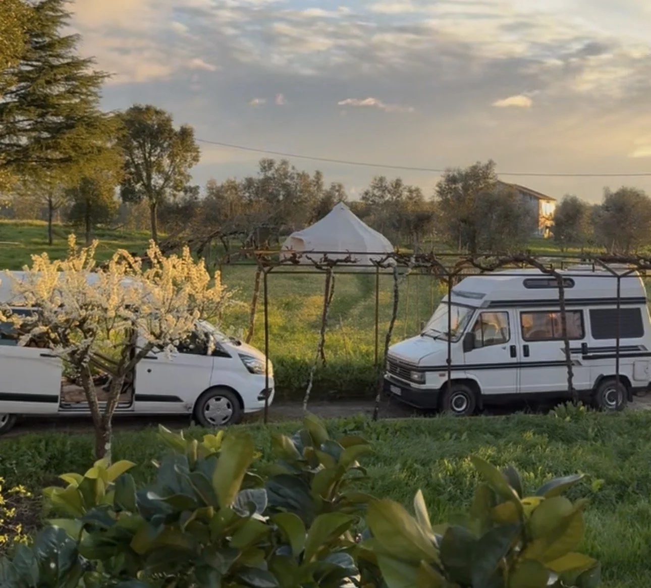 A scenic rural landscape at sunset with two parked vehicles, a white car and a camper van, in front of a garden with blooming trees. There is a tent-like structure in the middle background, with a trellis or vine framework nearby. In the distance, there are trees and a house, with a partly cloudy sky overhead.