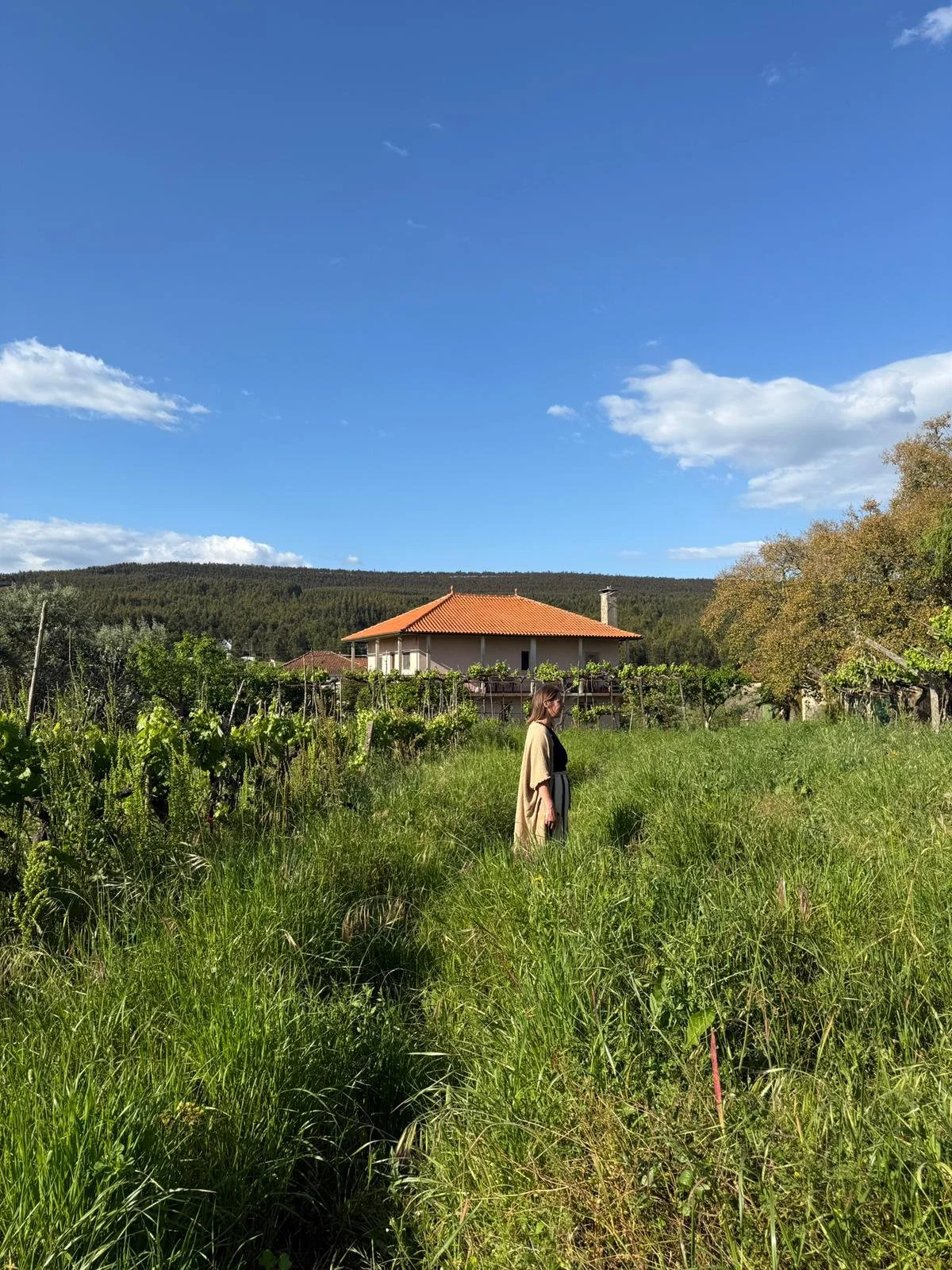 A woman standing in a grassy field with a house, trees, and a mountain in the background under a partly cloudy blue sky.