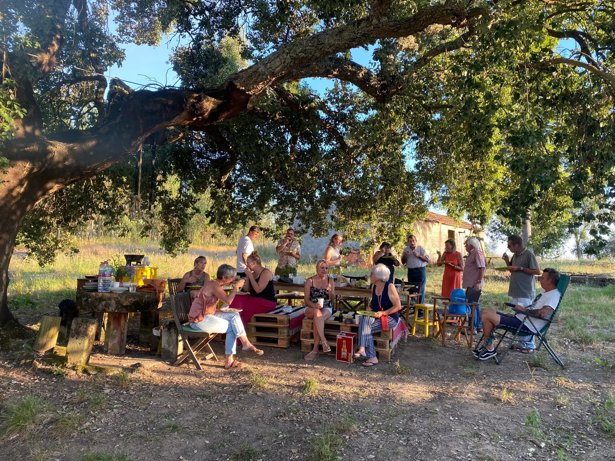 Group of people gathered outdoors under a large tree during daytime, enjoying a meal together on a sunny day.