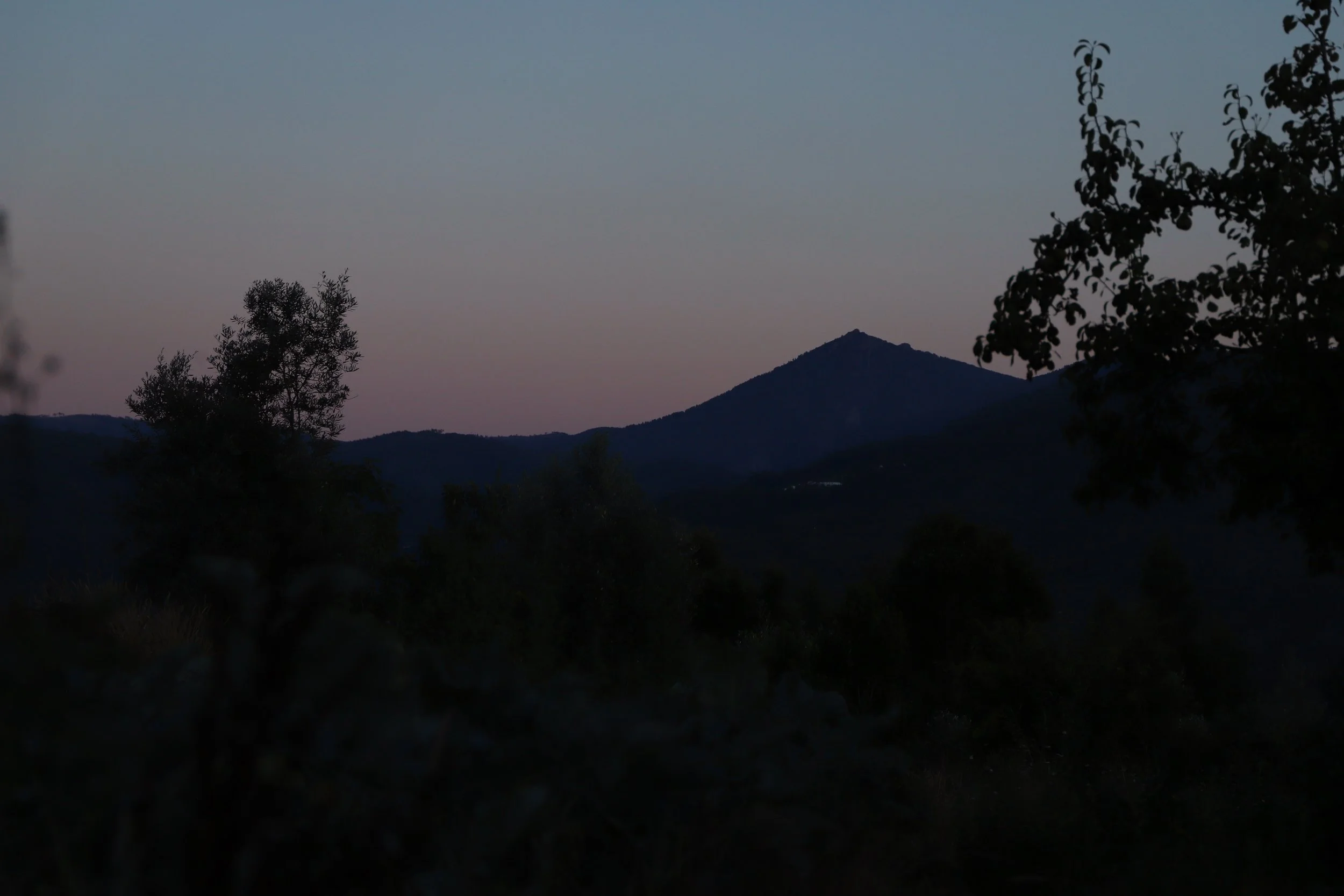 A landscape at dusk featuring silhouetted trees and mountains against a fading sky.
