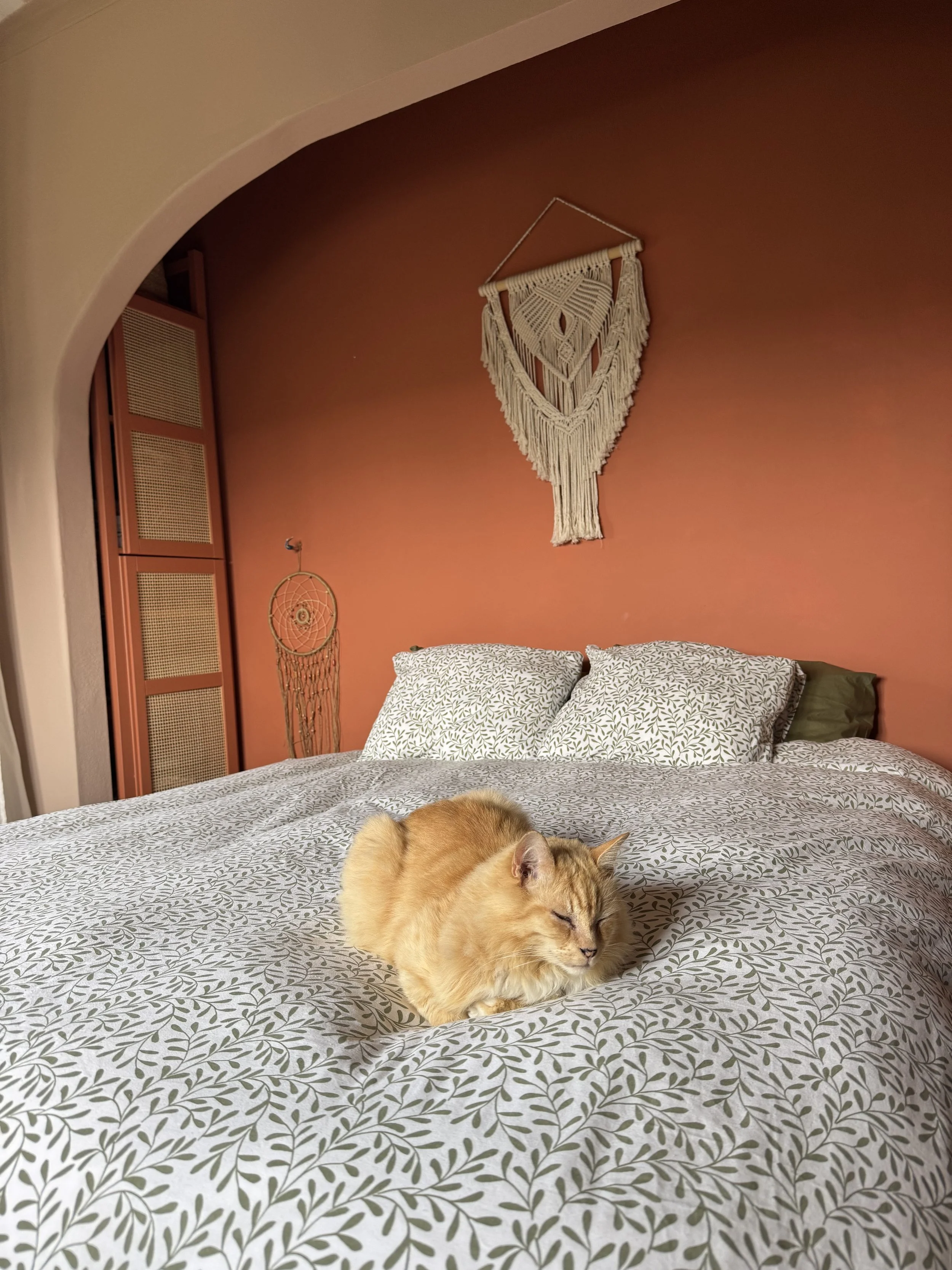 A cozy bedroom with a bed covered in a leafy-patterned duvet and matching pillows, and a ginger cat lying peacefully on the bed. The wall behind has a macramé wall hanging and a dreamcatcher, with a curved archway at the entrance.