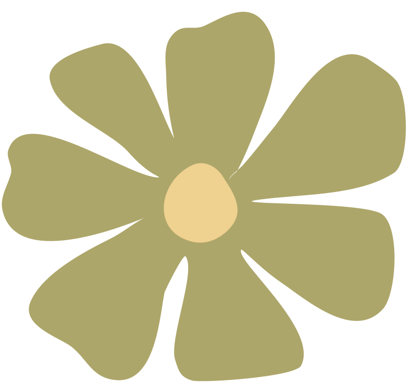 Simple illustration of a flower with seven large, pale green petals surrounding a small, beige central circle.