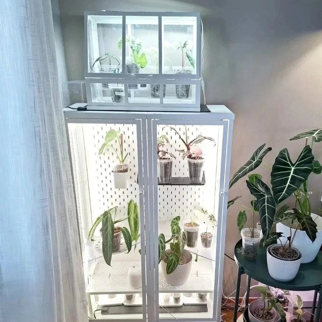 Building the cabinet