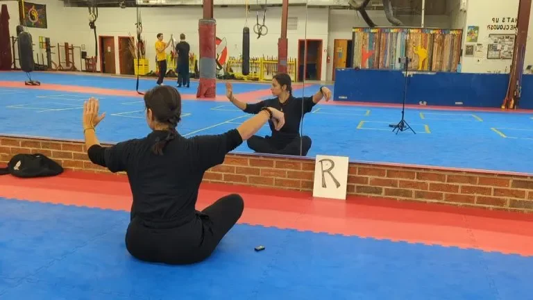 POV: Seated Adaptation to Simplified 24 Form Taijiquan