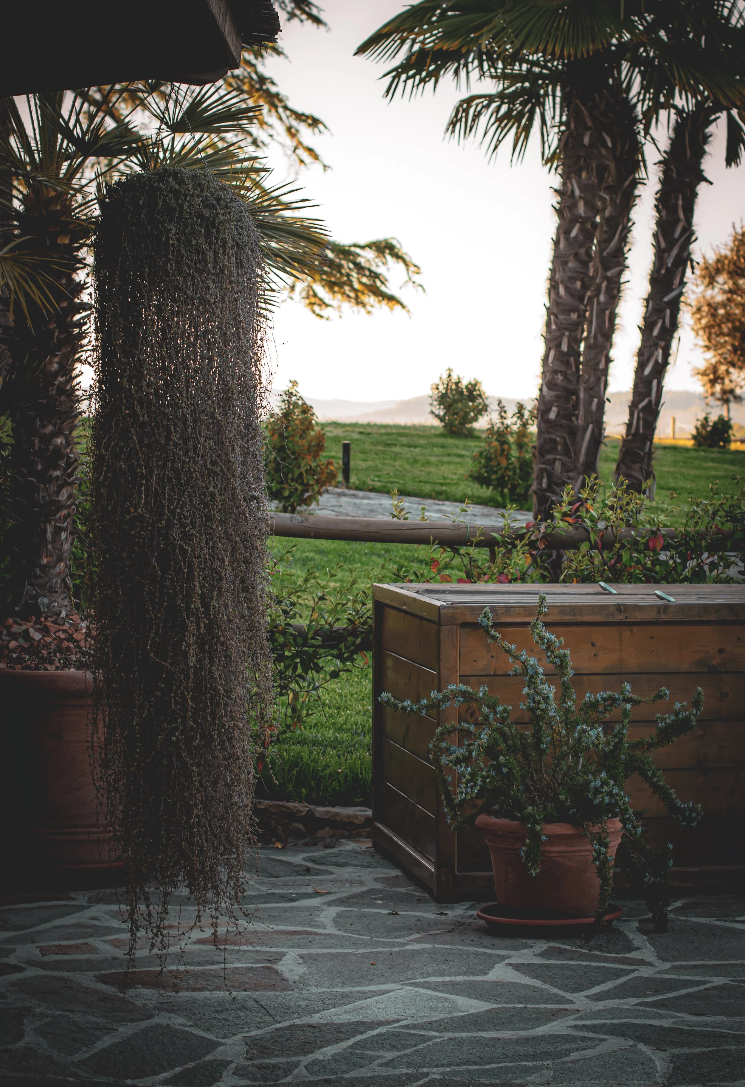 fnbj-precise-tale-poggio-alla-sala-flora.jpg