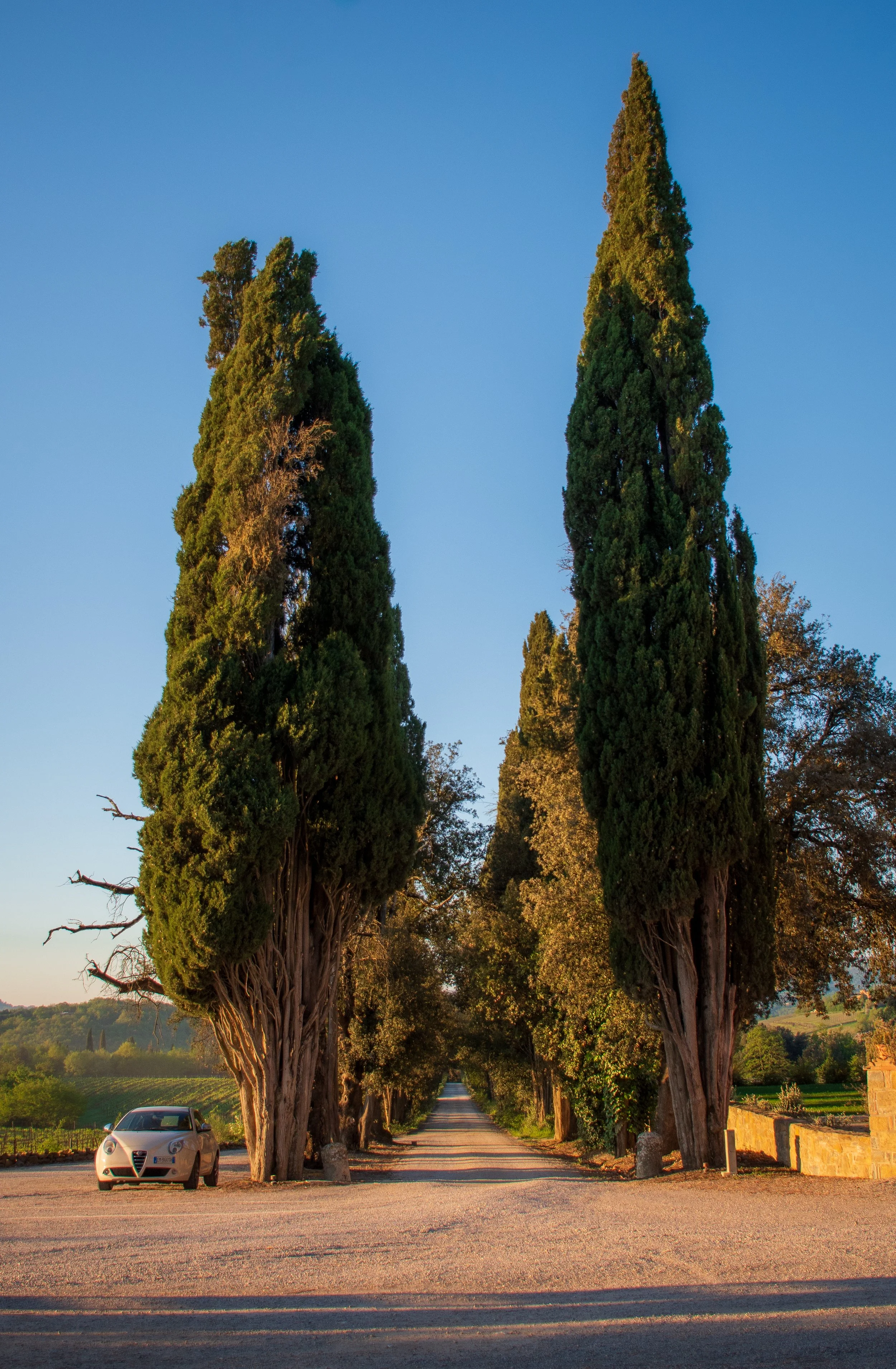 fnbj-poggio-alla-sala-driveway.jpg