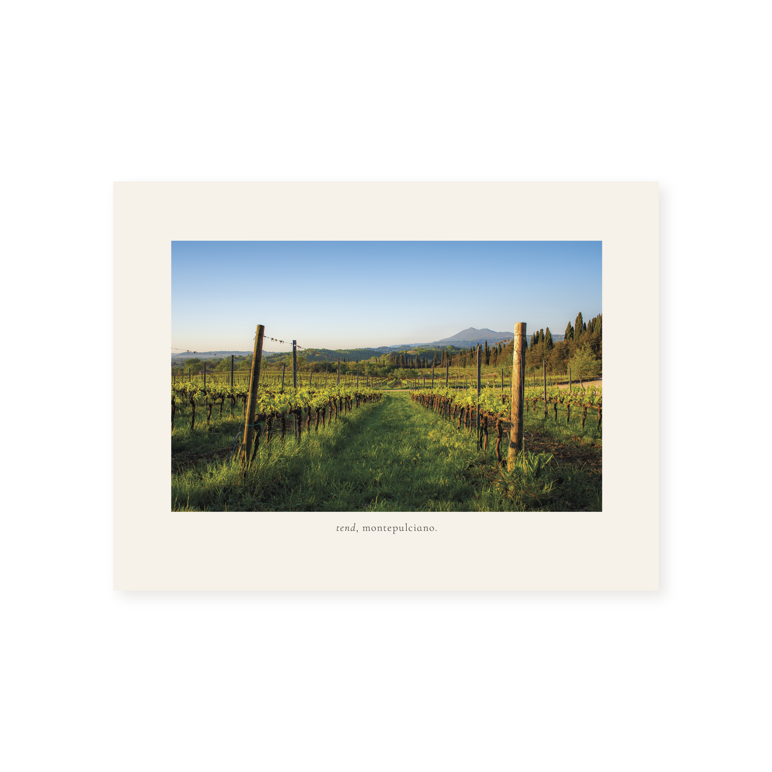 Pre-Order: fnbj. Objects—On Stillness and Beauty: The Southern Tuscany Print Collection