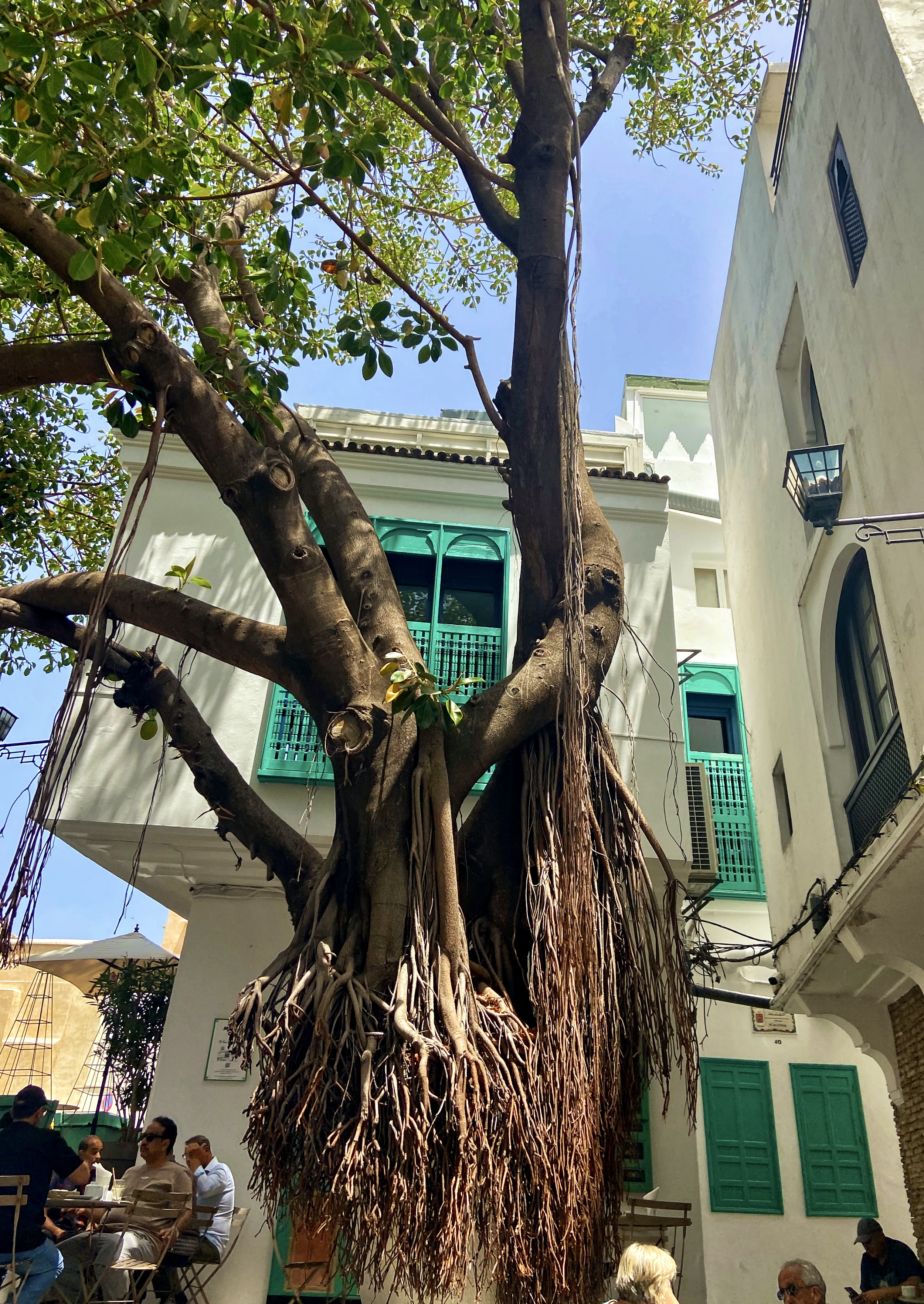 Discovering Morocco: Tangier