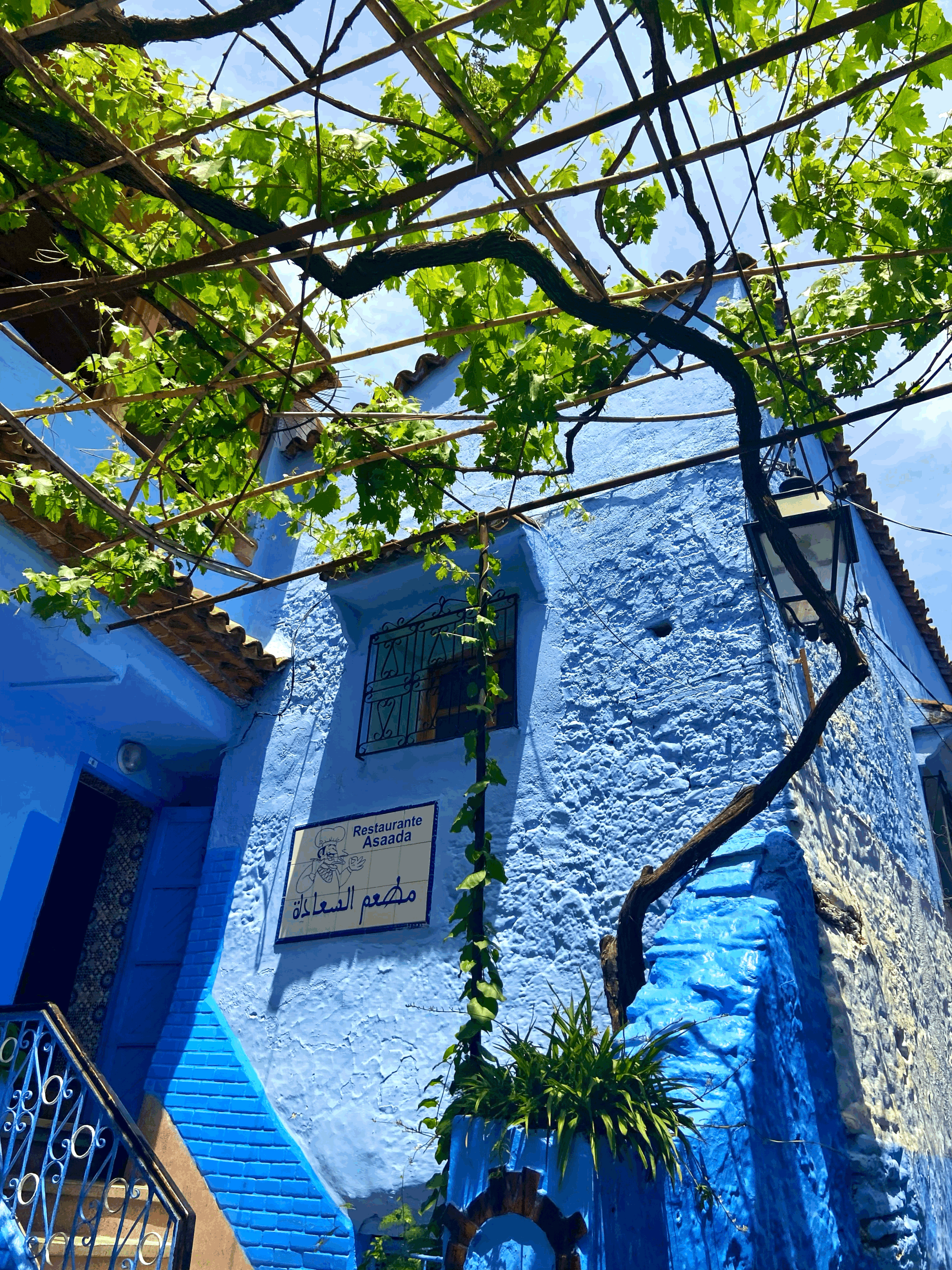 The Blue Pearl of Morocco: Chefchaouen