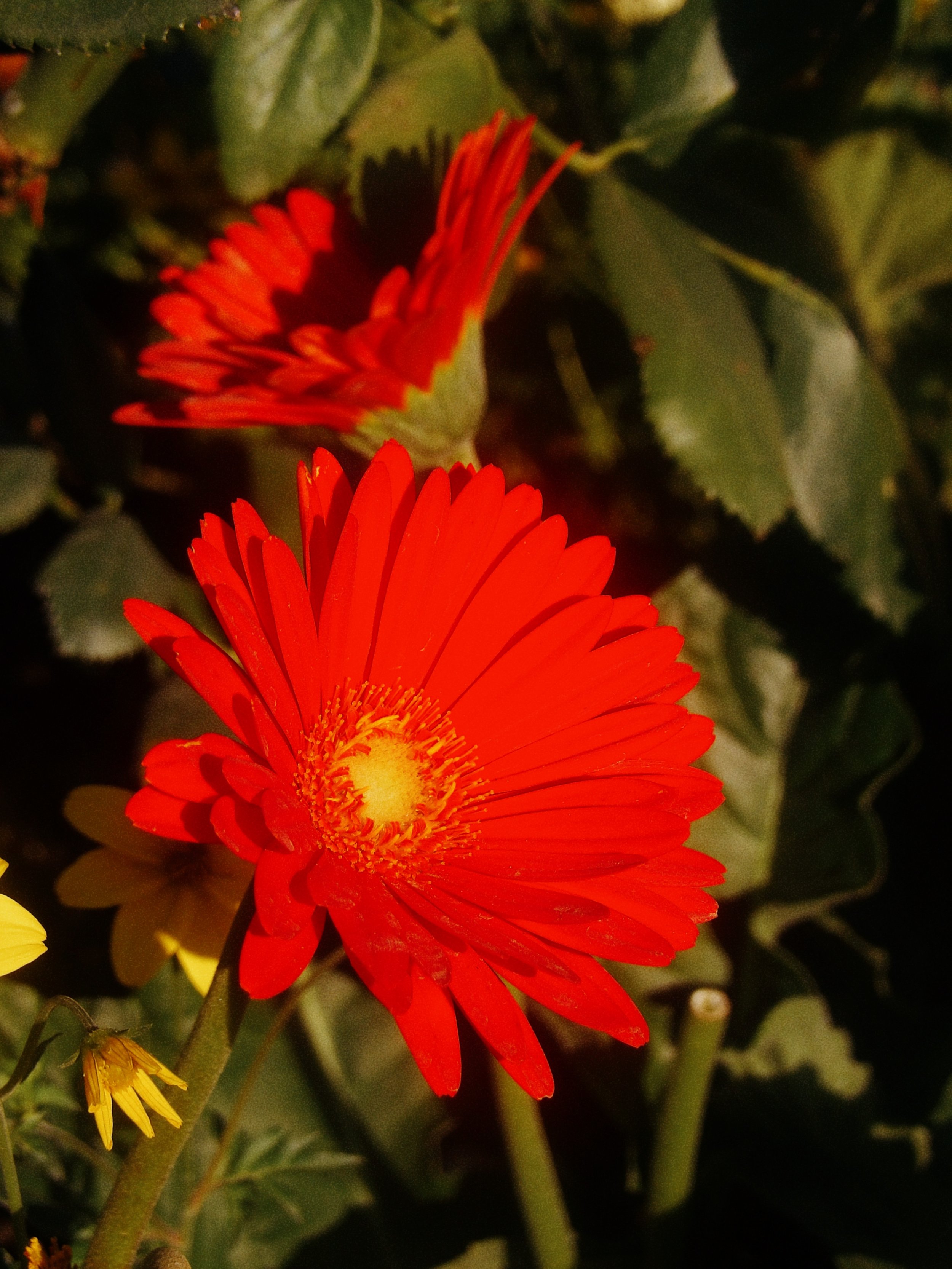 100_4996.jpg