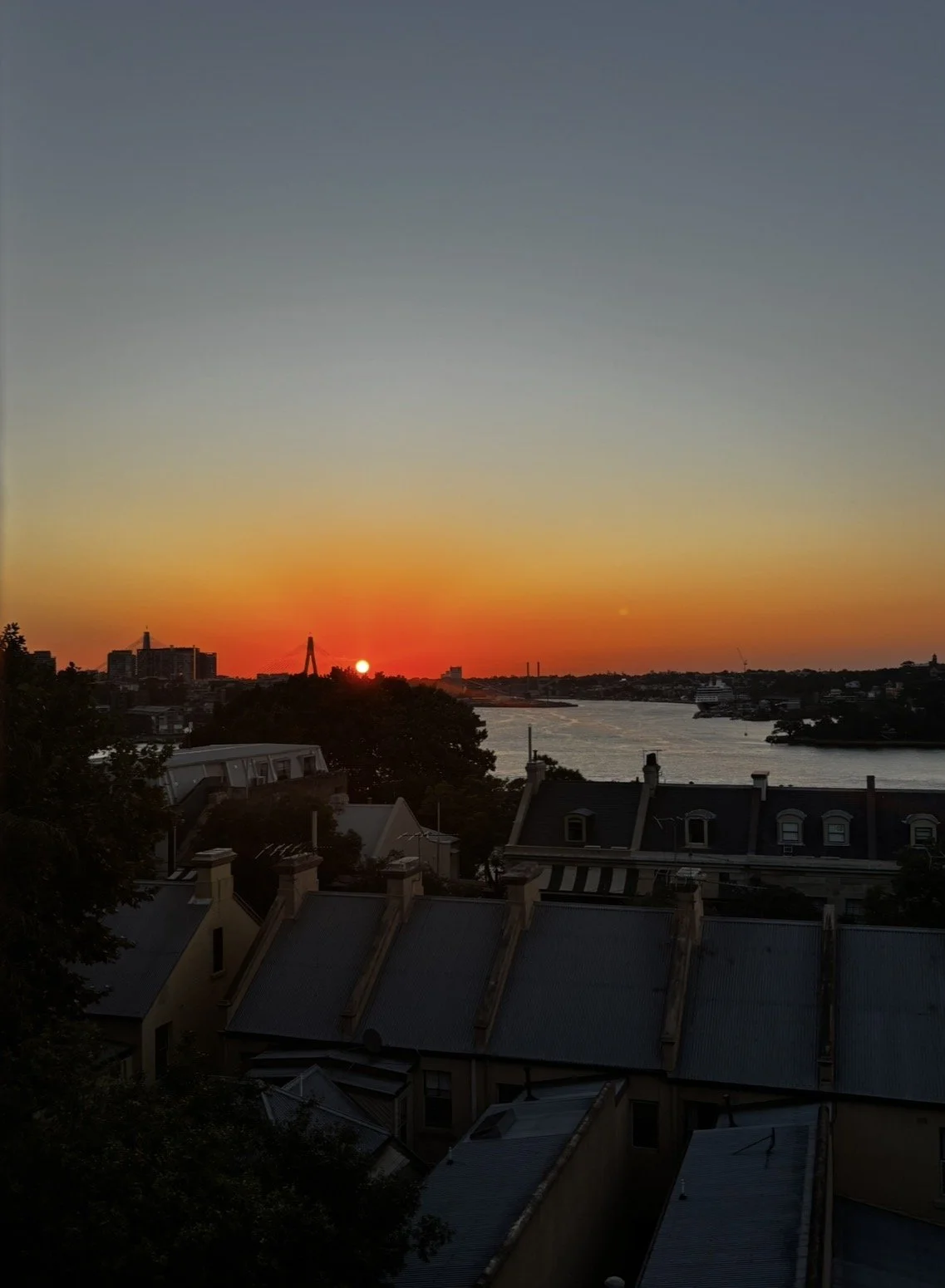 IMG_6380.jpeg