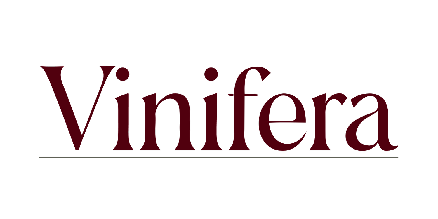 Vinifera