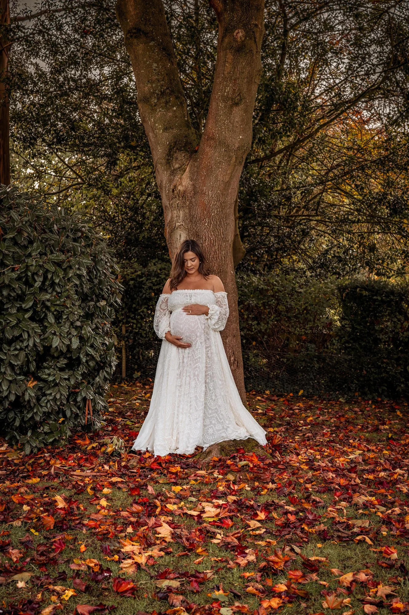A pregnant woman in a white lace off-shoulder dress stands outdoors near a large tree with autumn leaves on the ground and in the background.