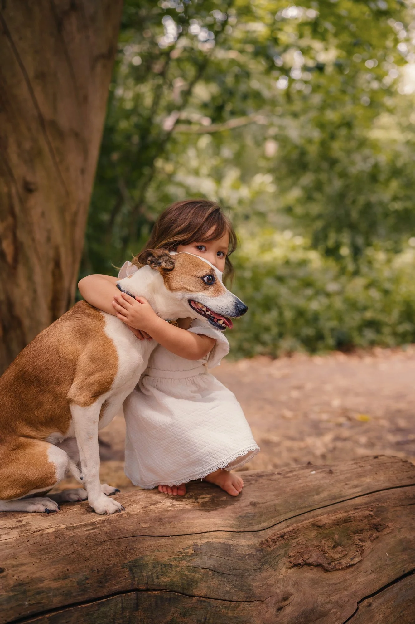 A young girl hugging a dog outdoors, sitting on a fallen log in a park or forest with green foliage in the background.