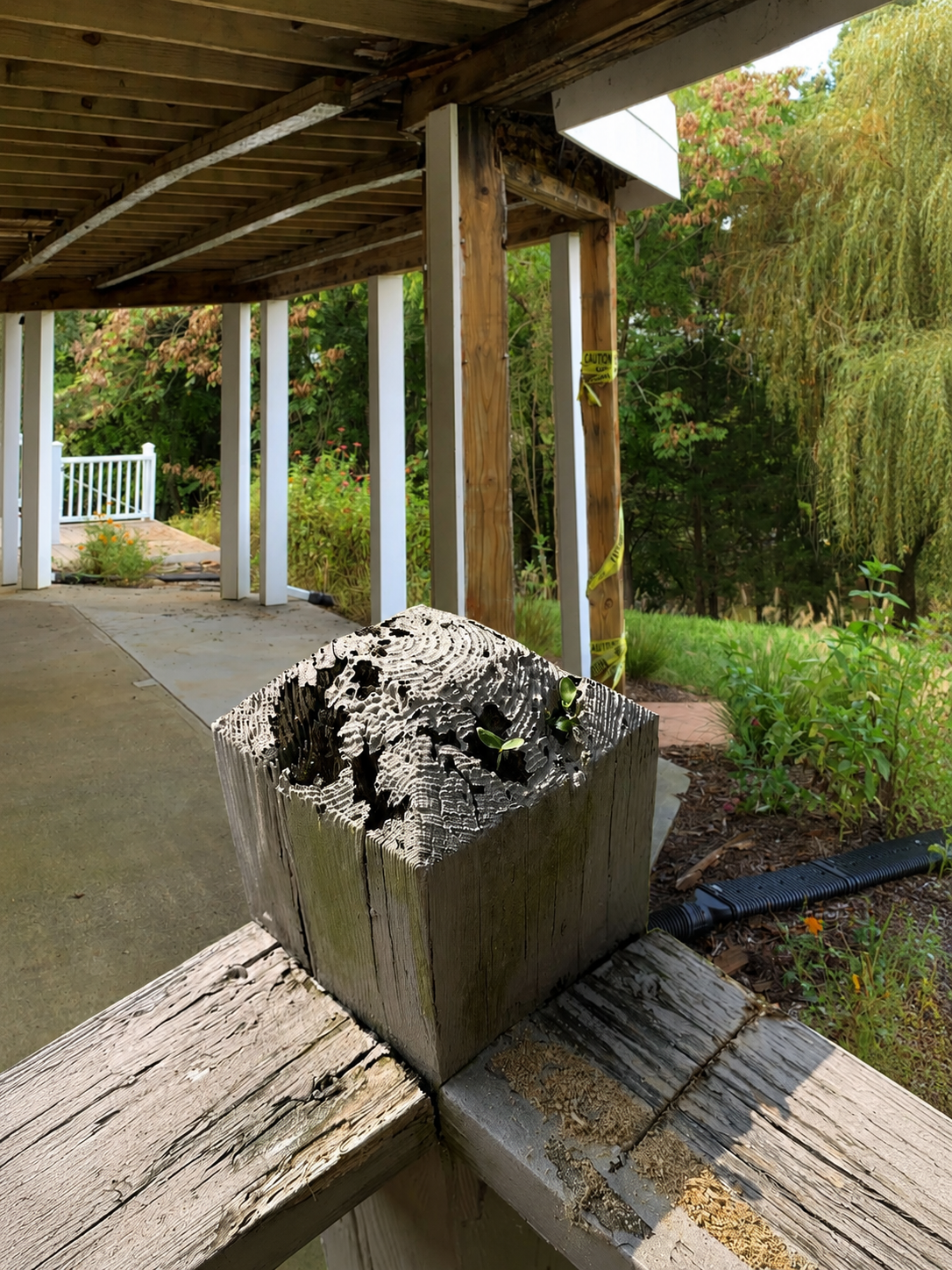 Close-up of a weathered wooden post on a deck, with a garden and a covered porch with white support beams and green foliage in the background.