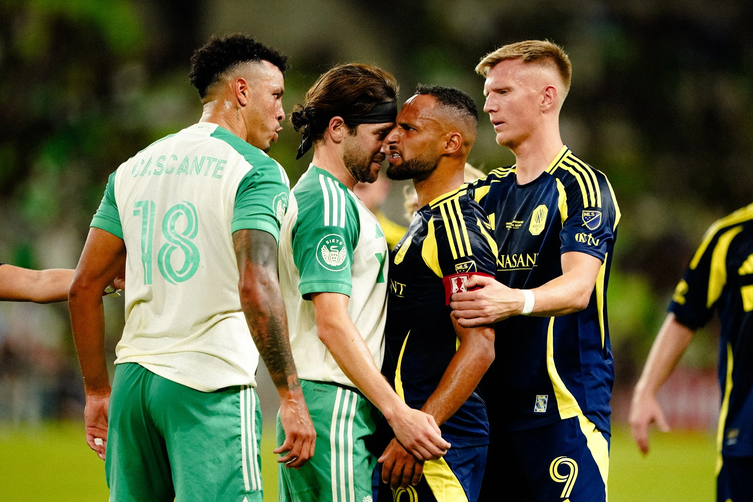DSC03554.jpg