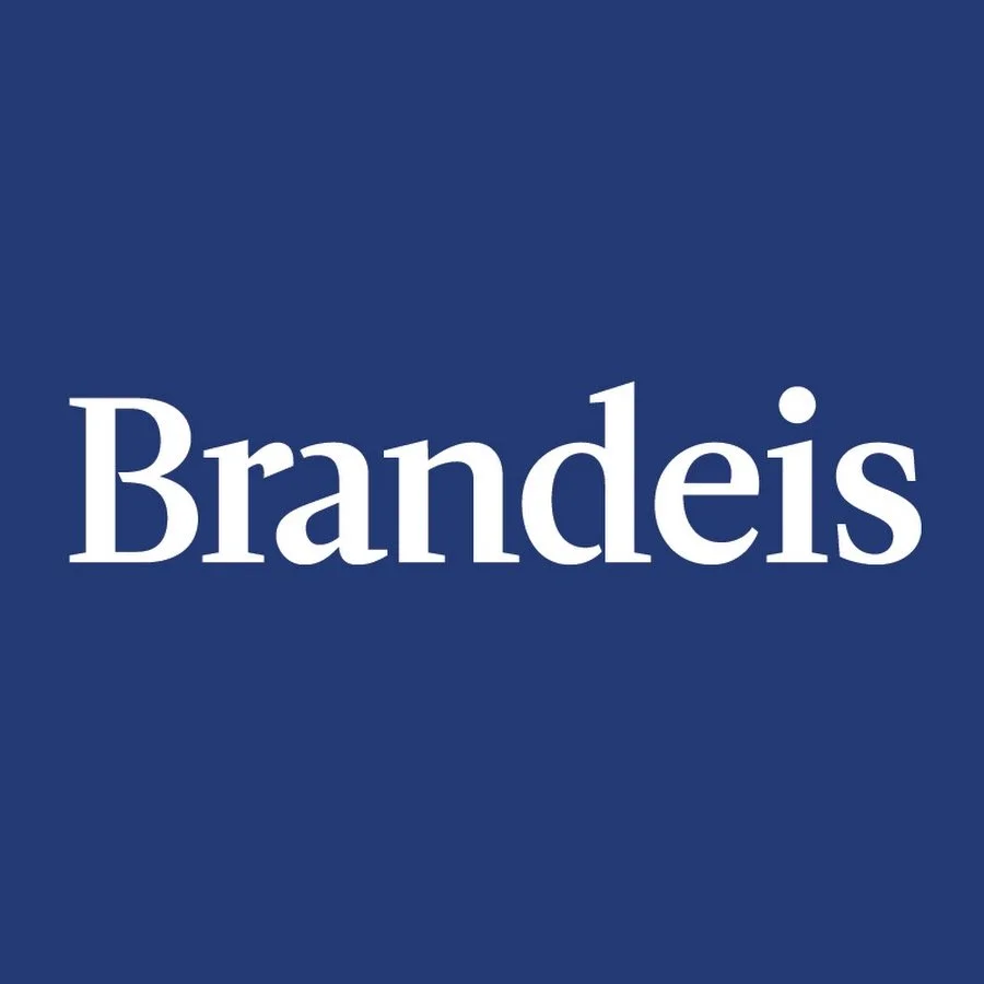The image features a solid blue background with the word 'Brandeis' written in white serif font.