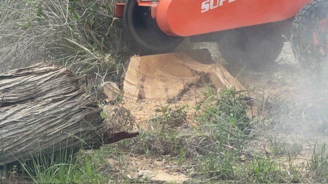 Tree Stump Removal Process_During