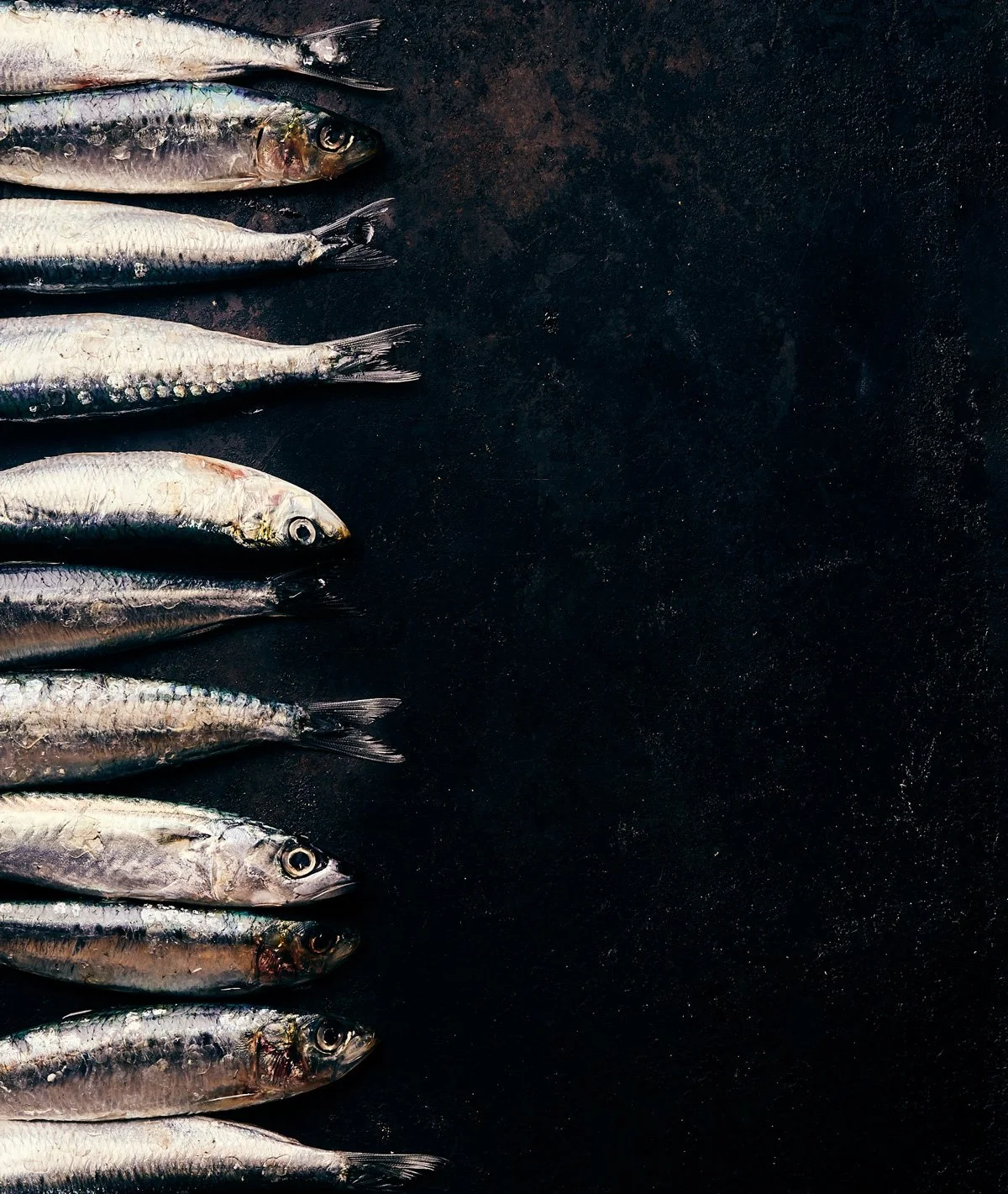 Delphine-Constantini-poisson-fond-sombre