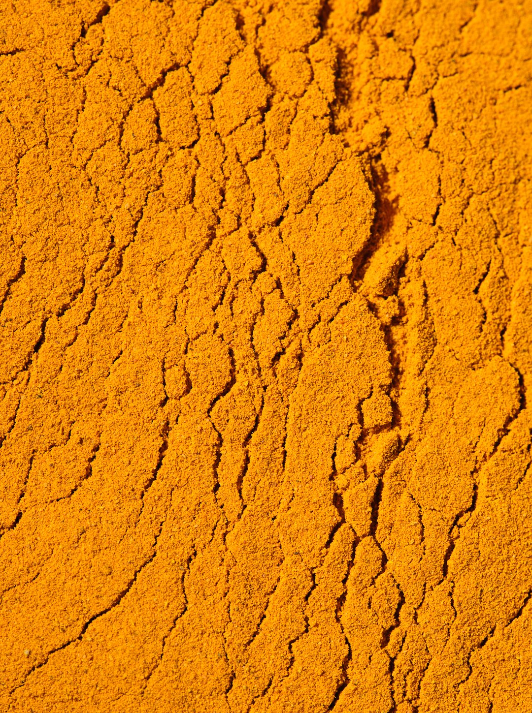 Delphine-Constantini-curcuma-macro