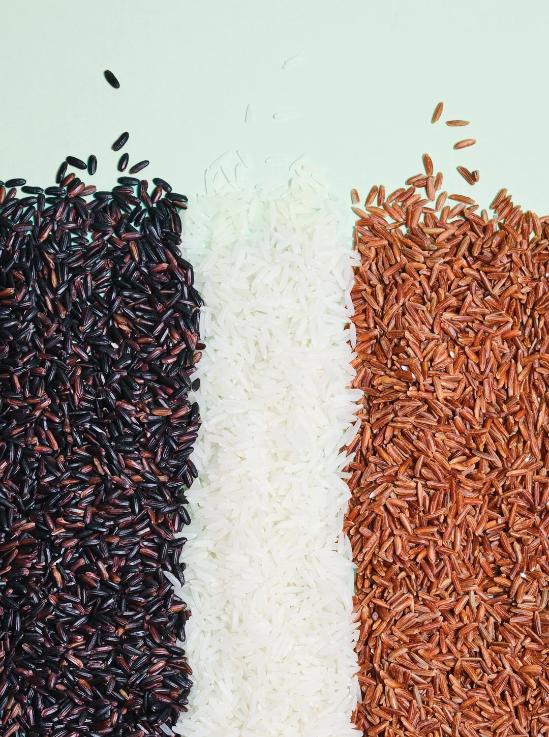 Delphine-Constantini-macro-riz