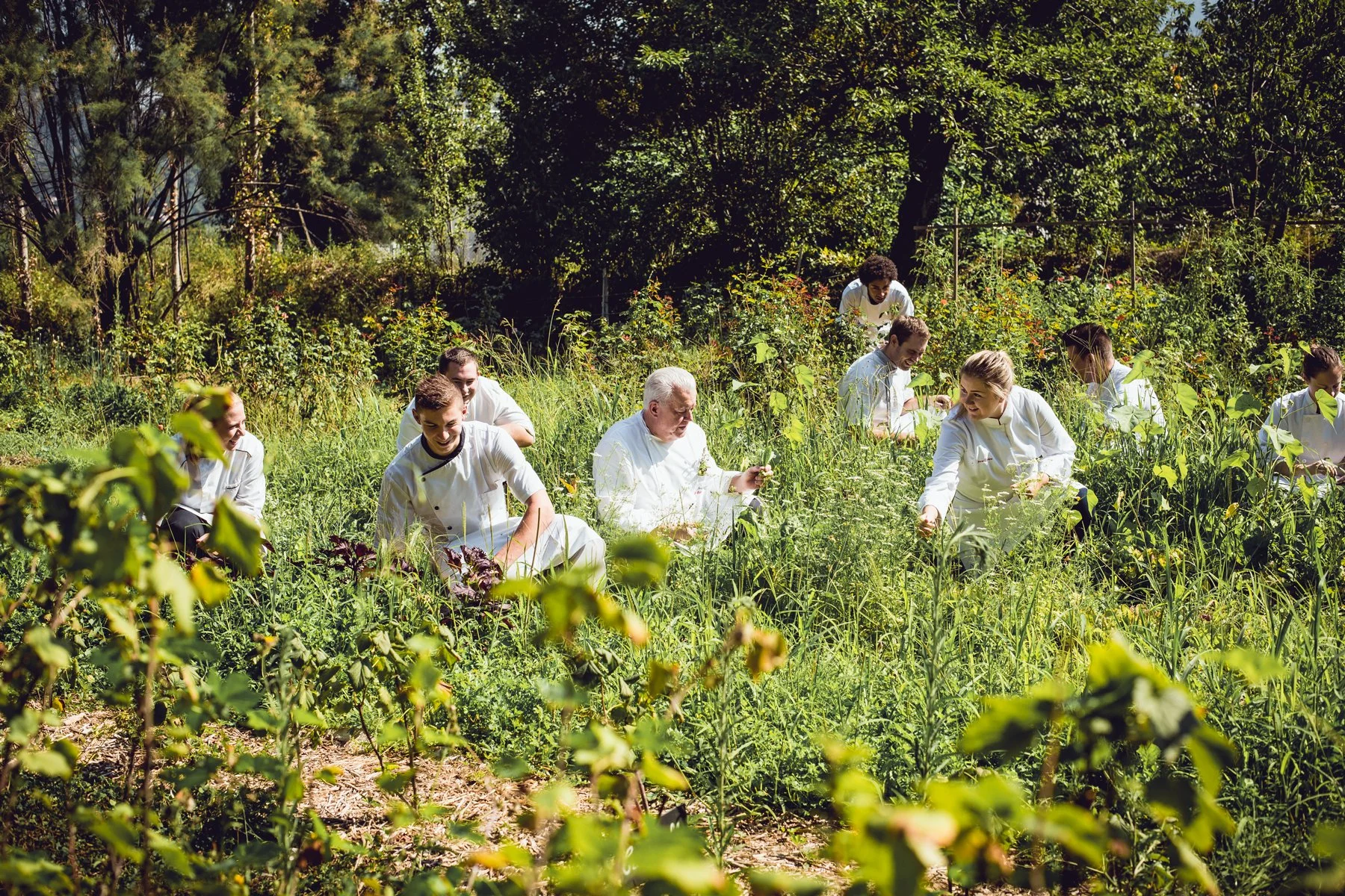Delphine-Constantini-reportage-chefs-Jany-Gleize-Sisteron
