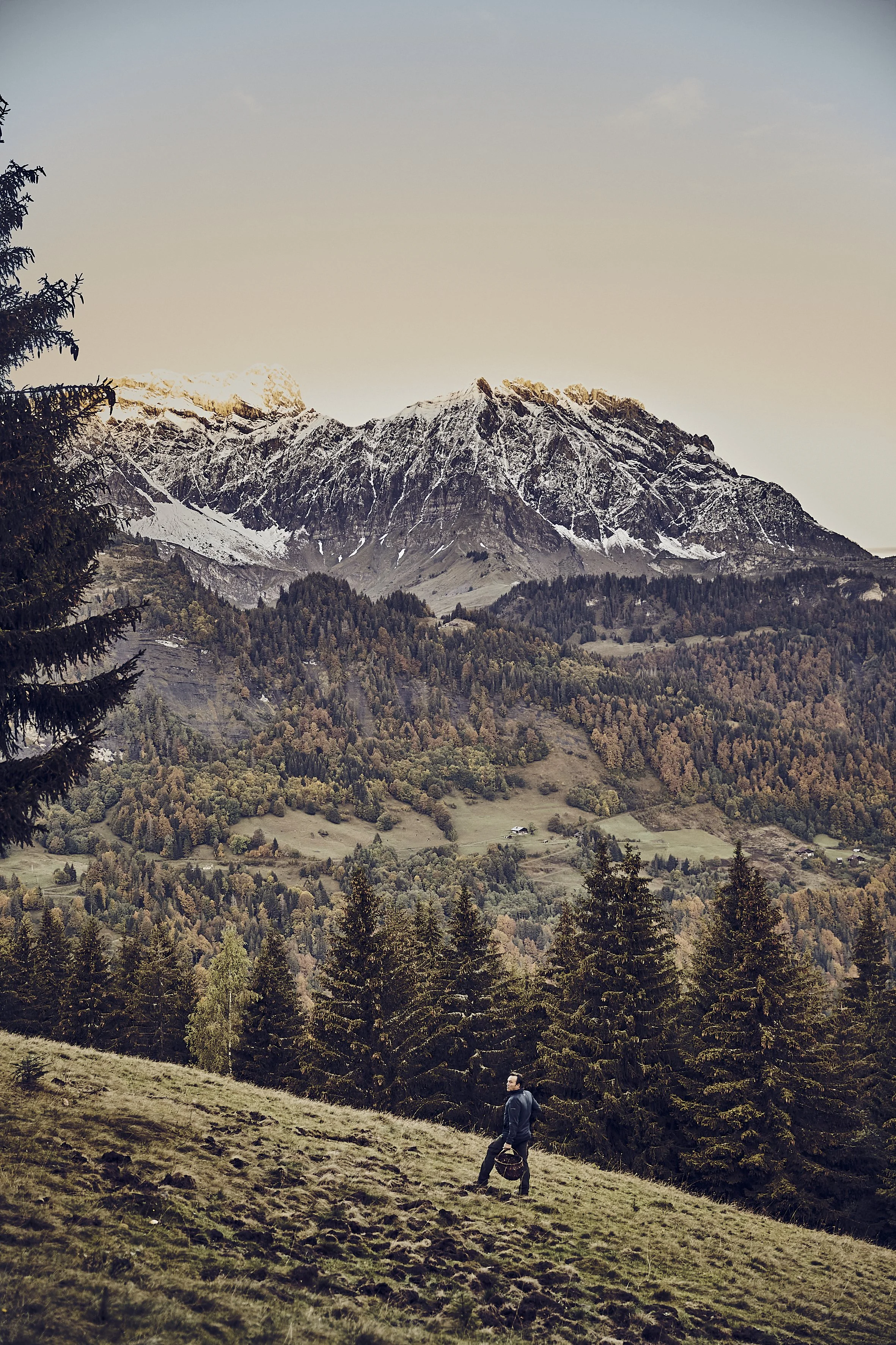 Delphine-Constantini-paysage-de-montagne-chef-champignons-soleil-levant