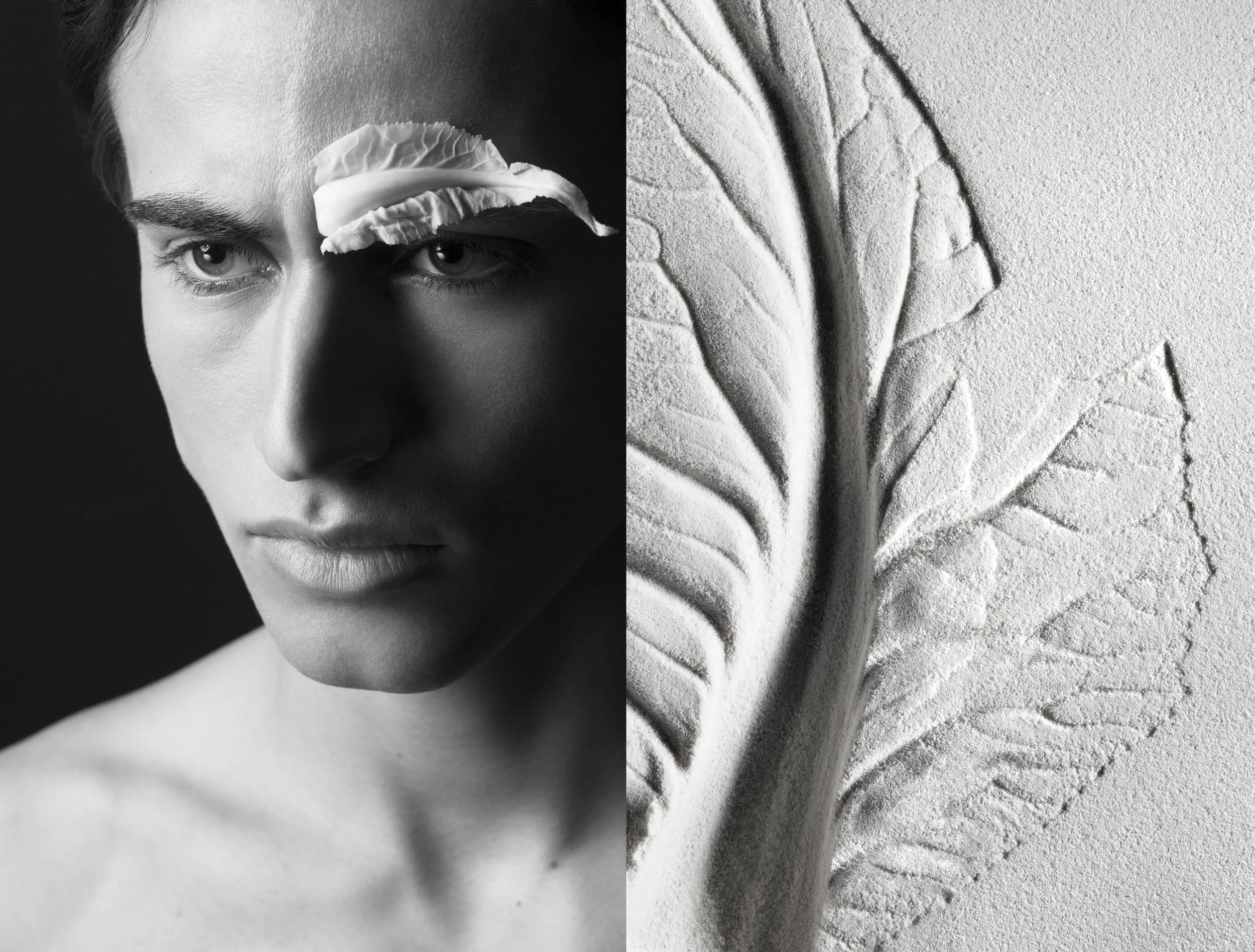 Regard Braisé