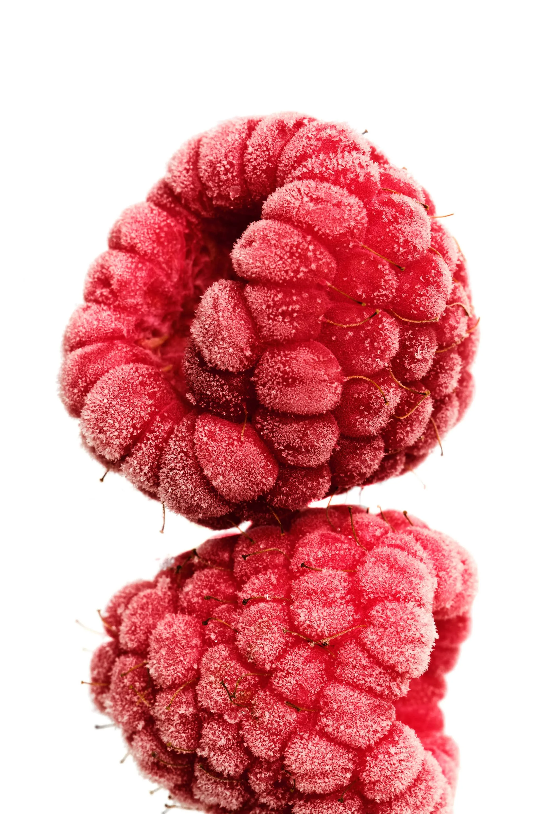 Delphine-Constantini-framboises-surgelees