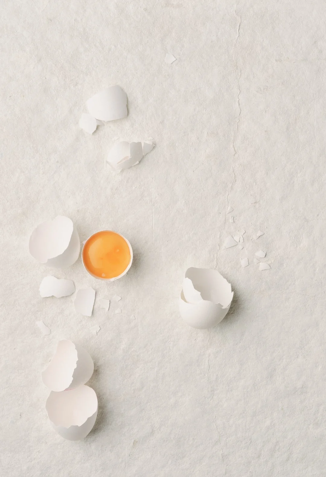 Delphine-Constantini-oeufs-composition-graphique