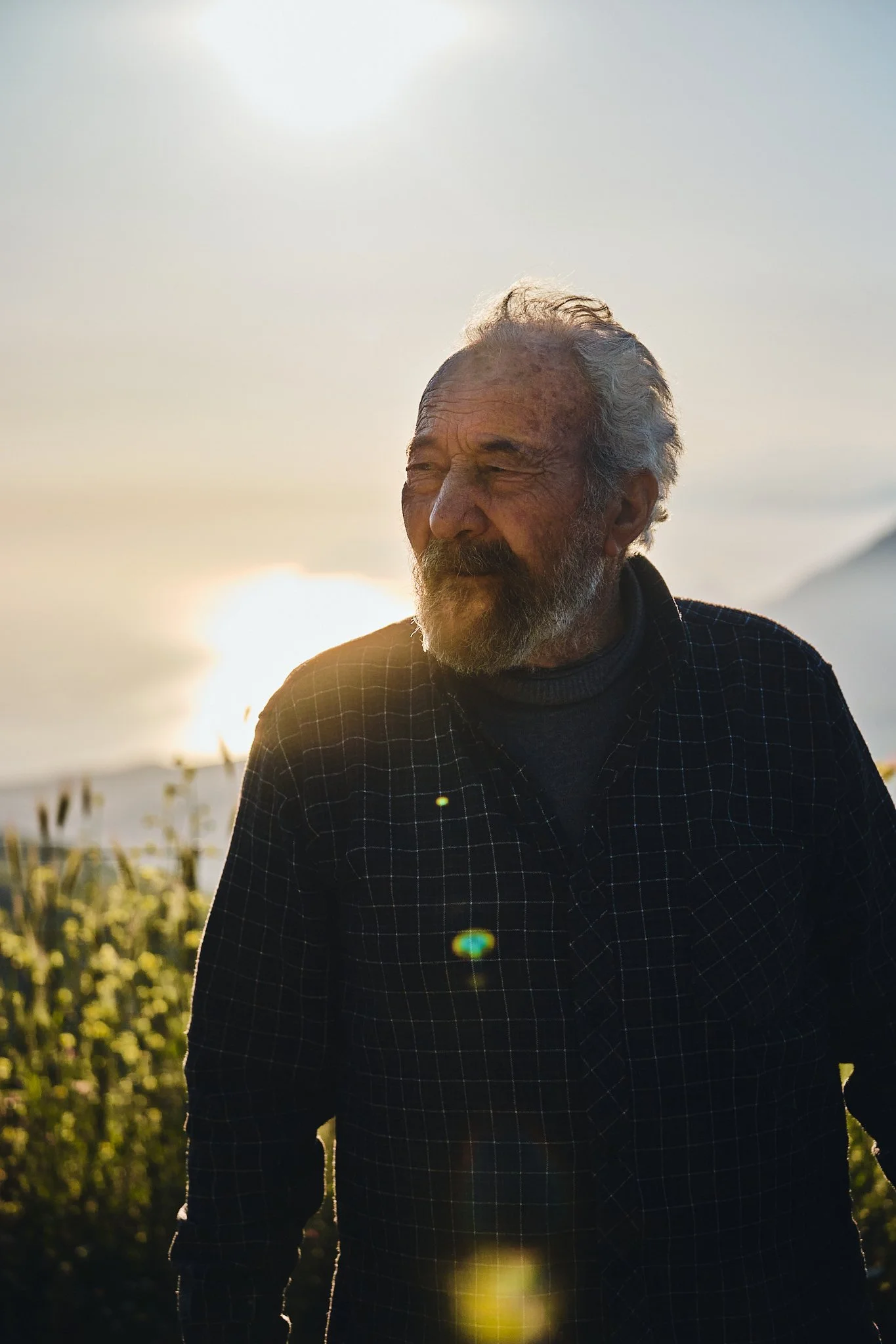 Delphine-Constantini-paysage-de-vignes-portrait-soleil-couchant