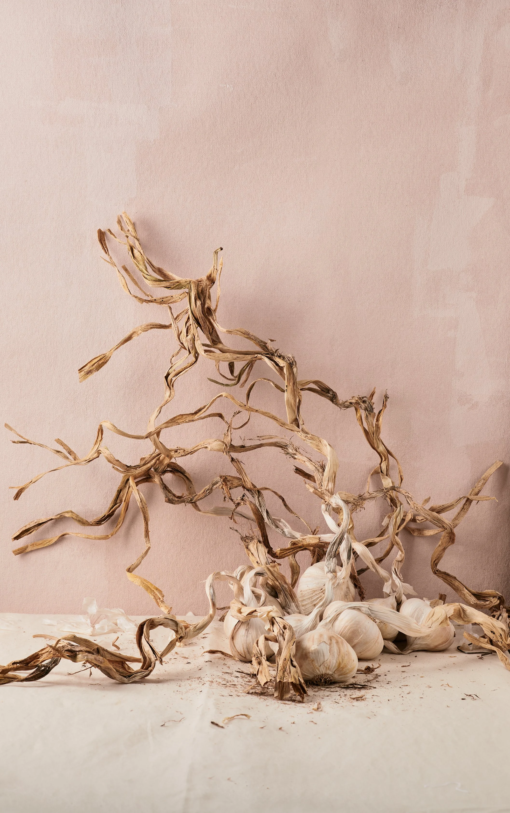 Delphine-Constantini-ail-barbus-forever-la-martiniere