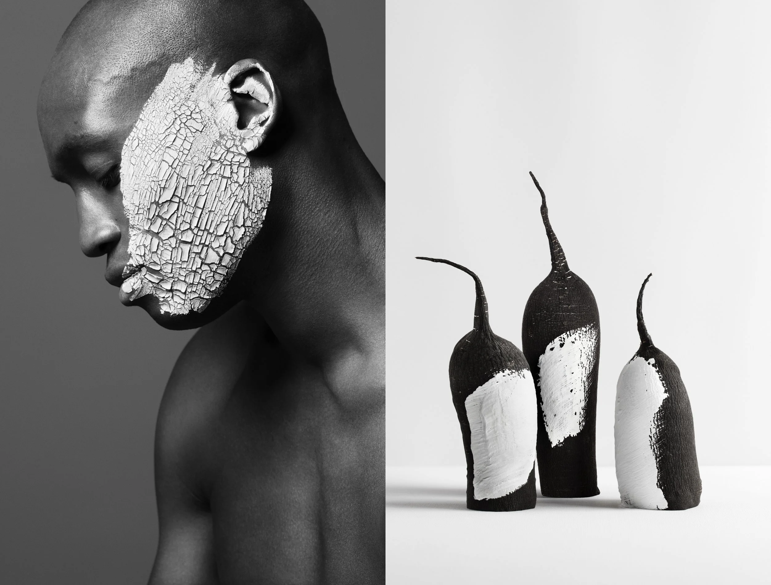 Anti-Radicaux Libres