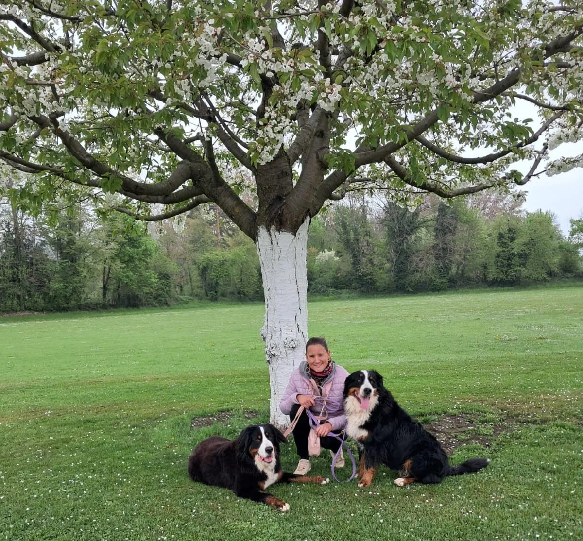 Salome Ferreira mit ihren 2 Berner Sennenhunde