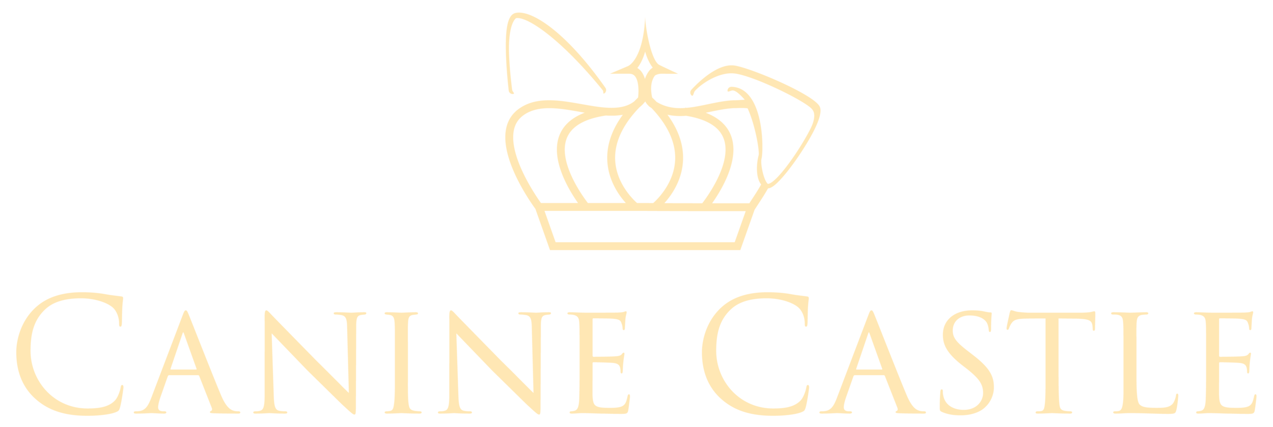 YELLOW LOGO-01.png