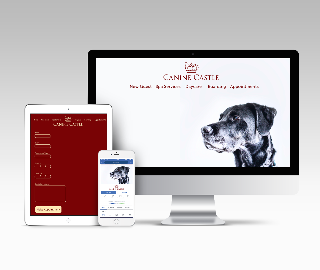 Interface Design
