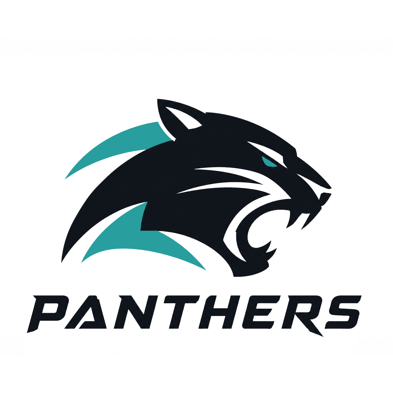A stylized panther head in black with teal accents and text reading "PANTHERS" below.
