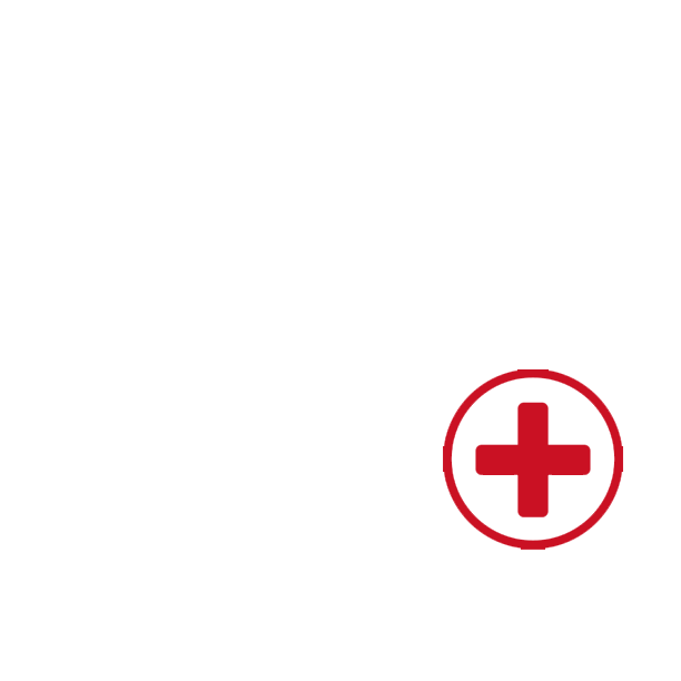 Icon of a person with a red cross symbol indicating medical or health support.