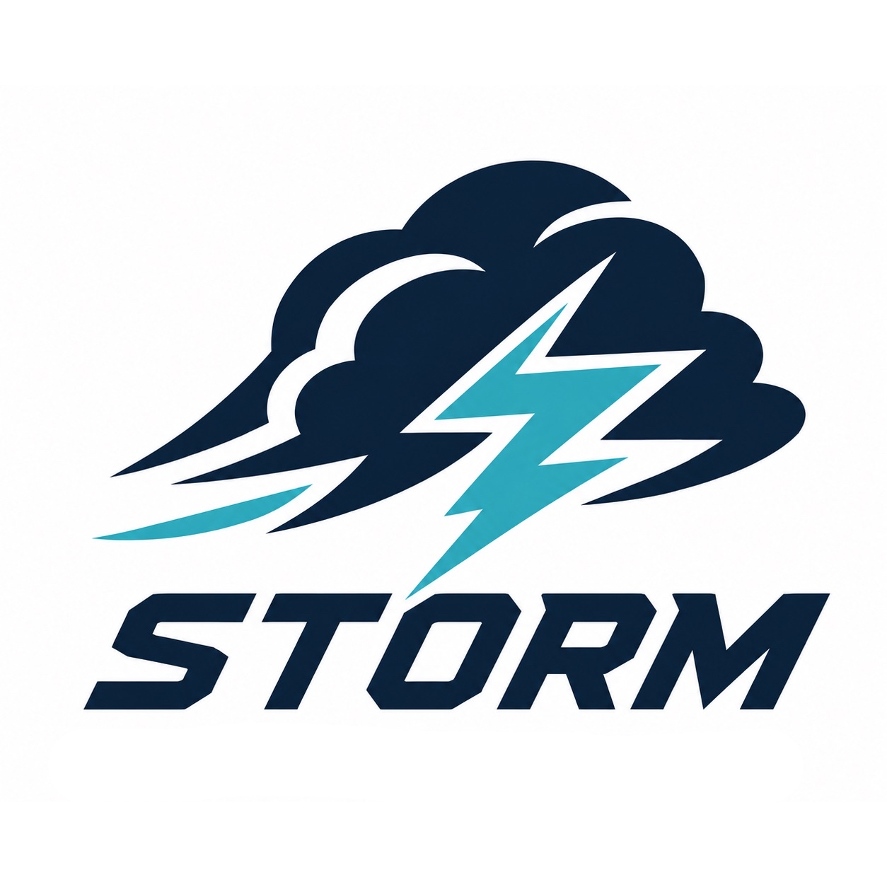 A logo featuring a dark storm cloud with a blue lightning bolt and the word 'STORM' in bold uppercase letters.
