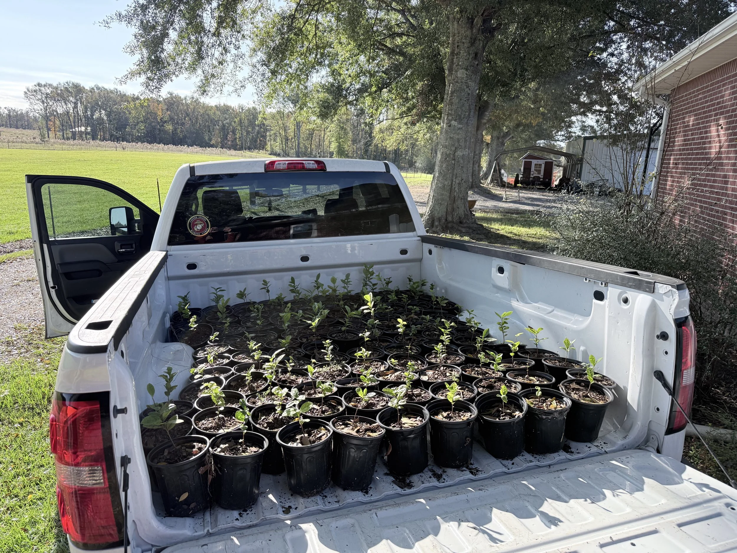Loaded the truck to go put in the ground!