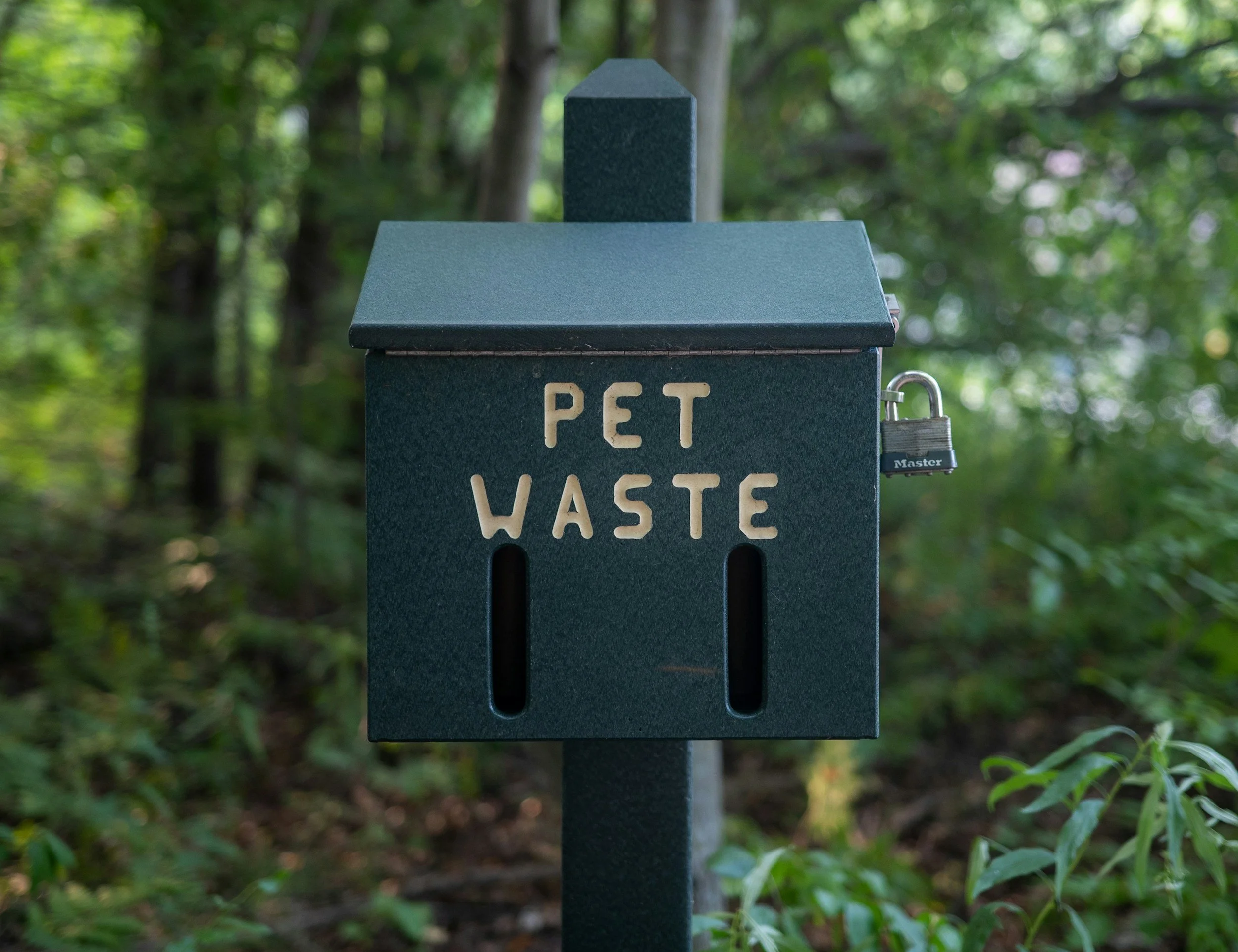 A green pet waste disposal box outdoors, surrounded by trees and foliage.