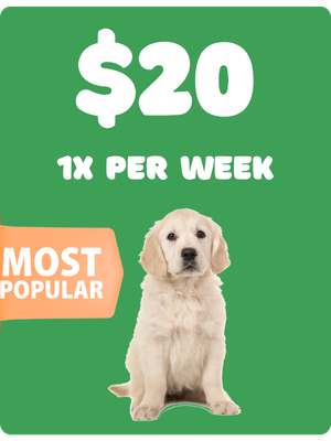 Green background advertisement for $20 weekly pet grooming, featuring a Labrador Retriever puppy and a 'Most Popular' badge.