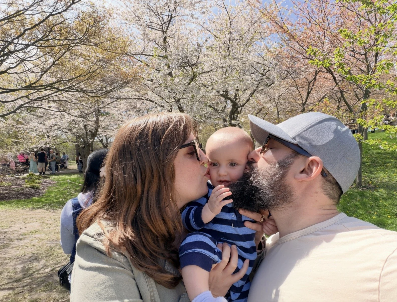 A family of three, including a woman, a man, and a toddler, sharing a kiss in a park during spring with blooming cherry blossom trees in the background.