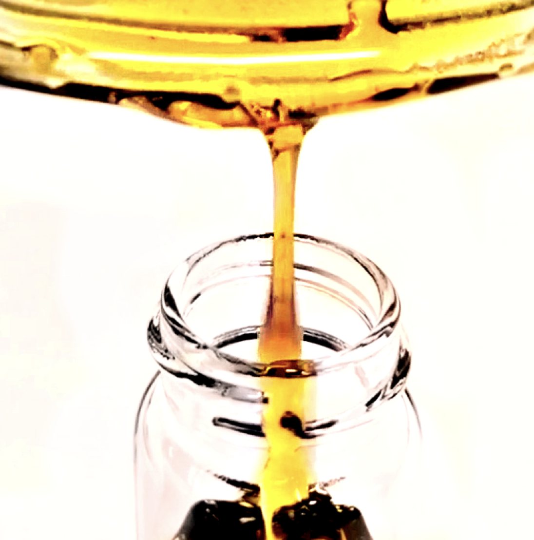 Let’s Talk Terpenes!