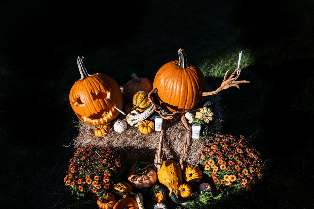 3 Things to do if You’re High on Halloween (and 21+)